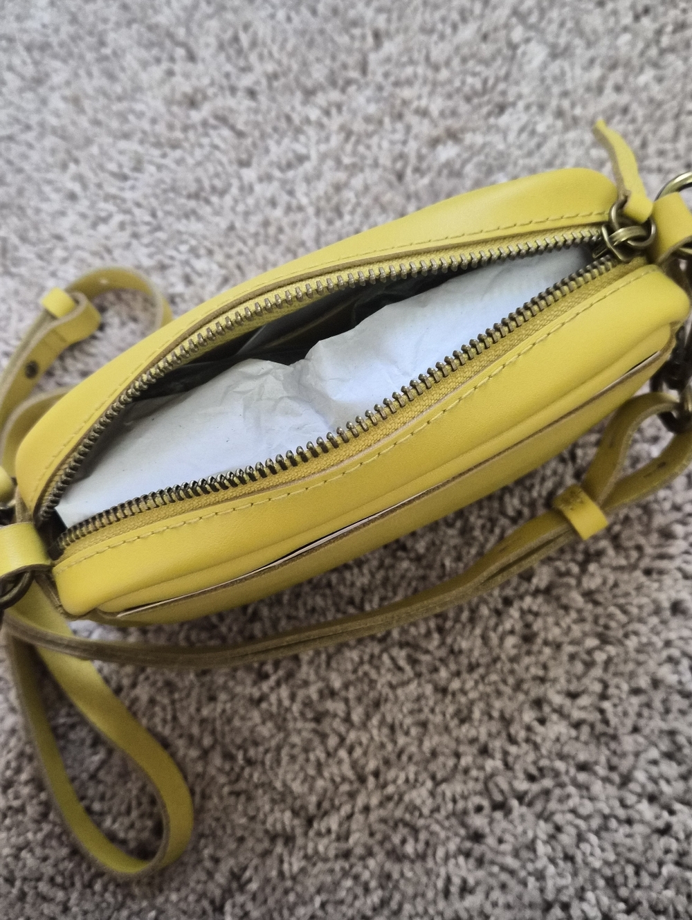 NWT Madewell The Leather Carabiner Mini Crossbody Bag in Guilded Chartreuse - Picture 2 of 5